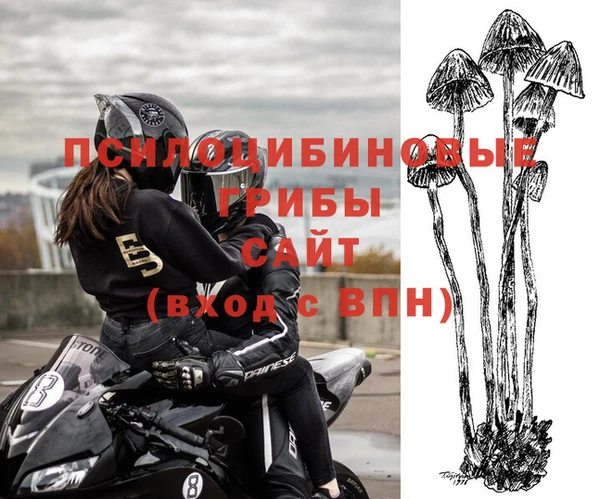 MDMA Приозерск