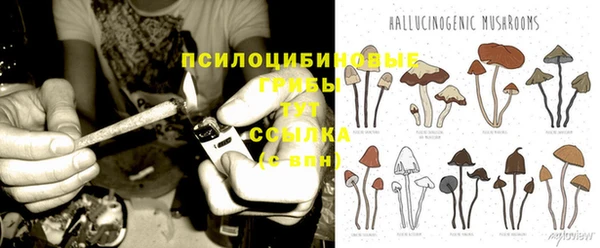 прущий лед Протвино